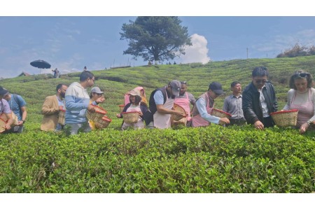 चिया टिप्दै १५ देशका कूटनीतिज्ञहरु, ‘पर्यटन दूत’ बन्न मन्त्रीको आग्रह