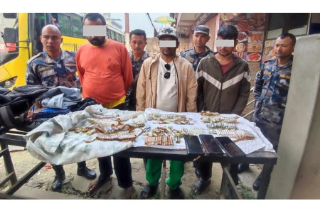 लागुऔषधसहित तीन जना पक्राउ :सतुंगल