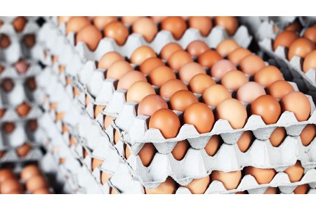 अण्डाको मूल्य क्रेटमा १५ रुपैयाँले बढ्यो