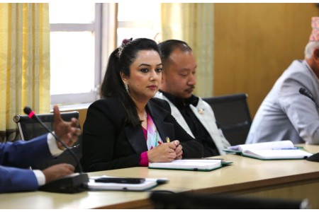 सांसदले उठाए कूटनीतिक राहदानीको माग, सभामुखले गरे छलफल