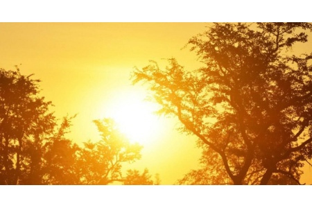 तराई मधेशका जिल्लामा बढेको गर्मीले जनजीवन प्रभावितः तातो लहरको चेतावनी