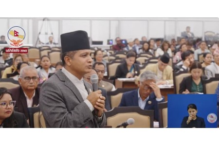 नयाँ संसद भवन सभाहलभन्दा फिल्म हलजस्तो भयो : ऐन महर