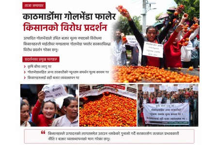 काठमाडौंमा किसानको प्रदर्शन: गोलभेंडा सडकमा फालेर सरकारविरुद्ध विरोध