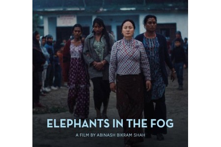 ‘तिनीहरू : Elephants in the Fog’विशेष प्रदर्शनीबाट बाढीपीडितलाई सहयोग