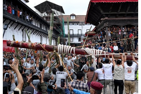 इन्द्रजात्राका लागि काभ्रेको नालाबाट काठमाडौं ल्याइँदै लिङ्गो