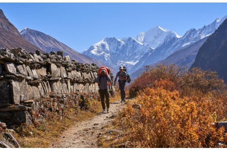 लाङटाङमा पर्यटकको चहलपहल बढ्दै, पर्यटन व्यवसायीमा उत्साह