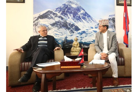 विपीन जोशीको रिहाइका लागि सार्थक पहल गर्न अध्यक्ष तिमिल्सिनाको आग्रह