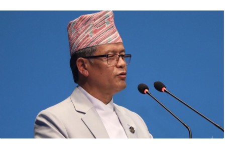 क्रोनिक क्यापिटलिज्मले गर्दा नेताहरु व्यापारी जस्ता भएका छन् : उपसभापति गुरुङ