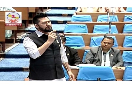 ठूला दुई दलको मिलन खतराको घण्टी हो : सभापति लामिछाने