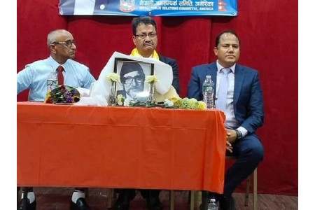 गौ हत्याको विरोधमा राप्रपाले काठमाडौंमा प्रदर्शन गर्दै