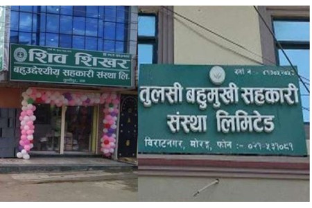 शिवशिखर र तुलसी बहुमुखी सहकारी समस्याग्रस्त घोषित