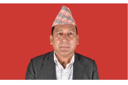 बझाङ प्रदेशसभामा एमालेका दमन भण्डारी विजयी