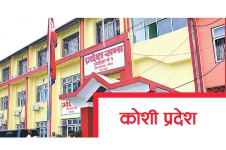 कोशीमा मुख्यमन्त्री नियुक्ति हुँदै, सो अघि सांसदको सनाखत हुने