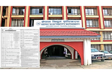 विद्युत् प्राधिकरणले माग्यो ४ सय भन्दा बढी कर्मचारी