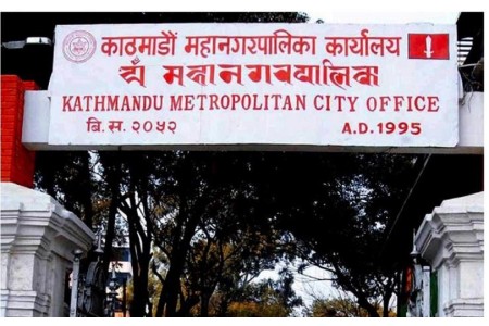 भोलिदेखि काठमाडौं महानगरले सडकमा भेटिने गाईबाच्छा काञ्जी हाउसमा राख्ने