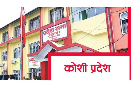 कोशी प्रदेश : सरकारबाट बाहिरिए पनि एमालेको समर्थन भने कायमै