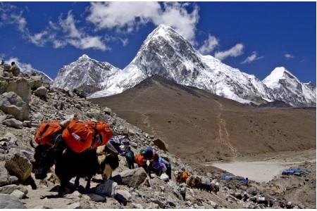सगरमाथा आरोहण प्रभावित, मौसमका कारण आरोहीहरू सुरक्षित स्थानमा फर्कंदै