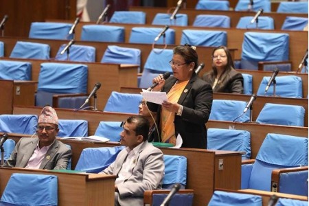 सांसद राईको आपत्ति: बारम्बार बत्ती जाने समस्याले सरकारको स्थायित्वप्रति प्रश्न उठाउँछ