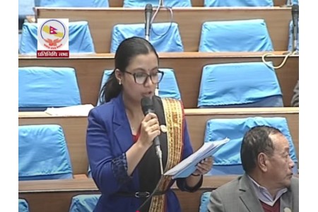 लोकतन्त्रको असली खतरा सरकार आफैंबाट छ : सोविता गौतम