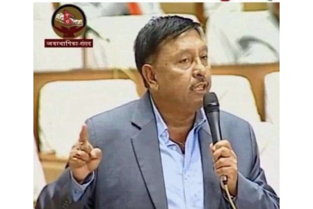 एनआरएनहरुलाई निःशुल्क भिसा दिने प्रावधान गलत हो : सांसद गिरी