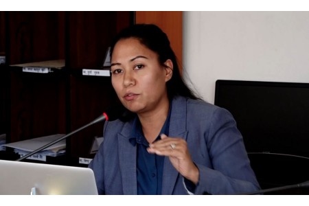 भौतिक पुर्वाधार मात्र विकास हो भन्ने भाष्य निर्माण गरिनु खेदजनक : सुमना श्रेष्ठ