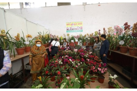 राष्ट्रिय हर्टिकल्चर एक्स्पो २०८१