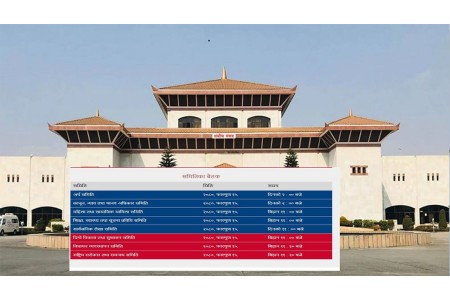आज संघीय संसदका ८ समितिका बैठक एकैपटक बस्दै