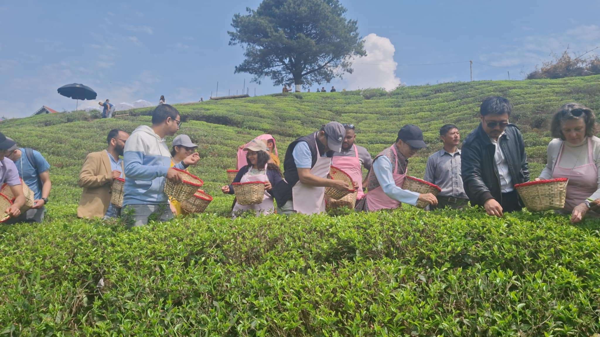 चिया टिप्दै १५ देशका कूटनीतिज्ञहरु, ‘पर्यटन दूत’ बन्न मन्त्रीको आग्रह