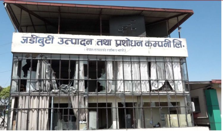 यस्तो छ राजावादीको निशानामा परेको जडीबुटी उत्पादन तथा प्रशोधन केन्द्र