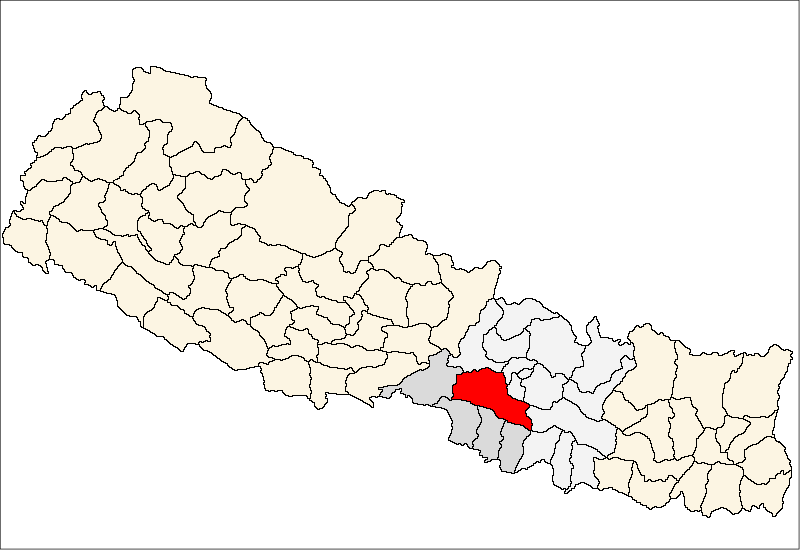 मकवानपुरमा रुख काट्ने क्रममा च्यापिएर मृत्यु