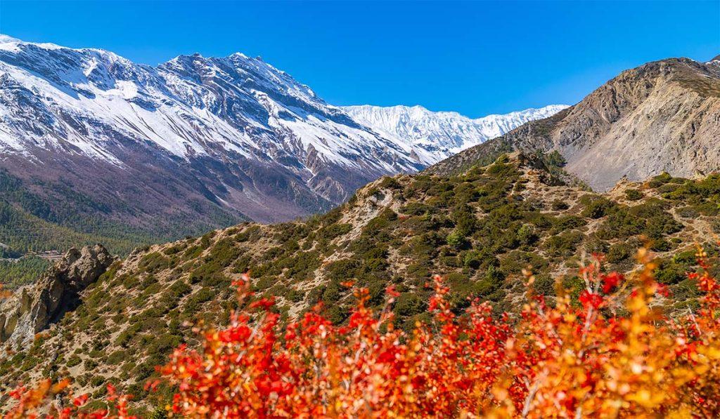 नेपालबाट मनसुन पूर्ण रूपमा बाहिरियो, दशैंमा घमाइलो मौसमको अपेक्षा