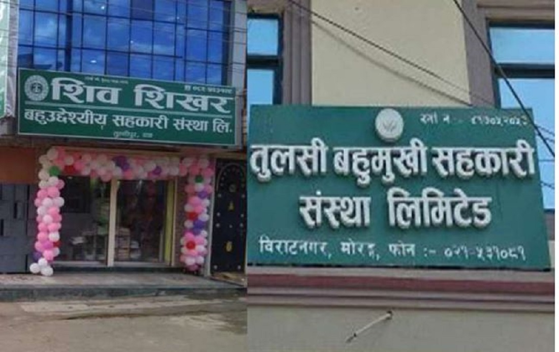 शिवशिखर र तुलसी बहुमुखी सहकारी समस्याग्रस्त घोषित
