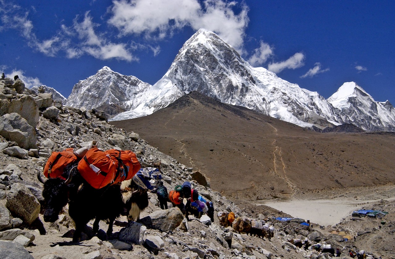 सगरमाथा आरोहण प्रभावित, मौसमका कारण आरोहीहरू सुरक्षित स्थानमा फर्कंदै