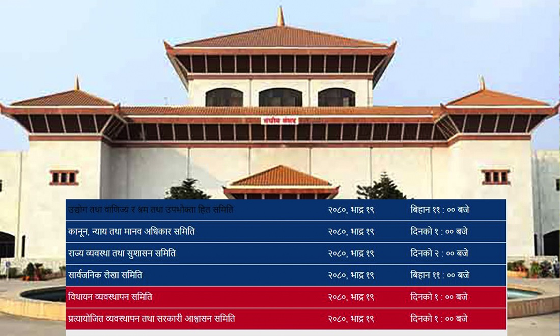 सक्रिय भए संसदीय समिति, आज मात्रै पाँचवटा समितिको बैठक