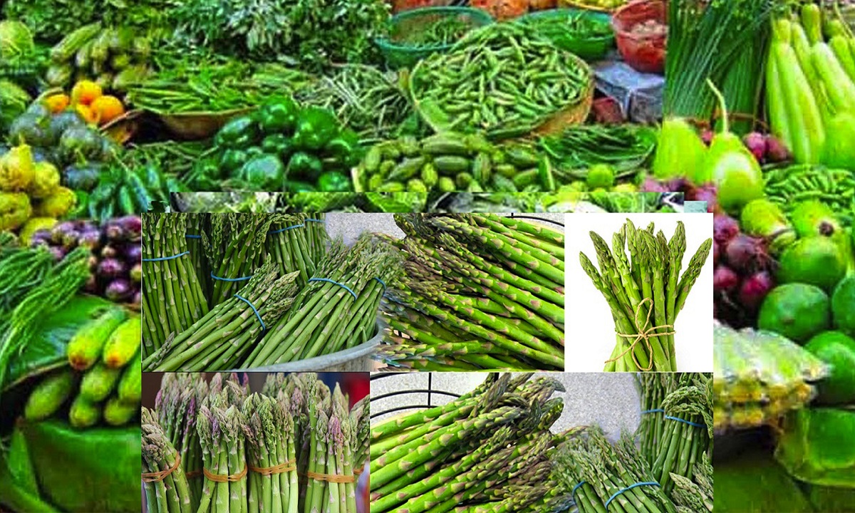 आजको फलफूल तथा तरकारीको बजारः कुरीलो ३००, गोलभेँडा १२०