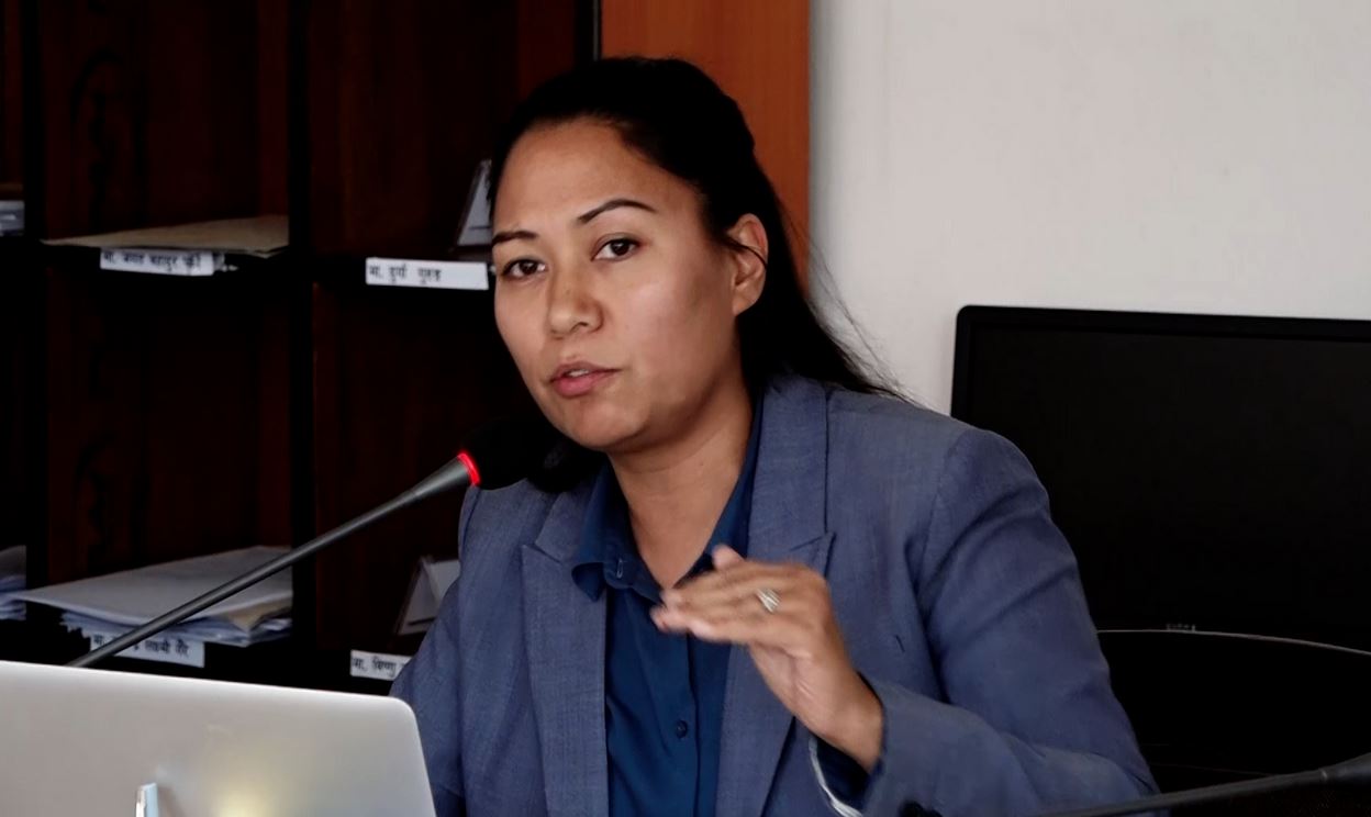 भौतिक पुर्वाधार मात्र विकास हो भन्ने भाष्य निर्माण गरिनु खेदजनक : सुमना श्रेष्ठ