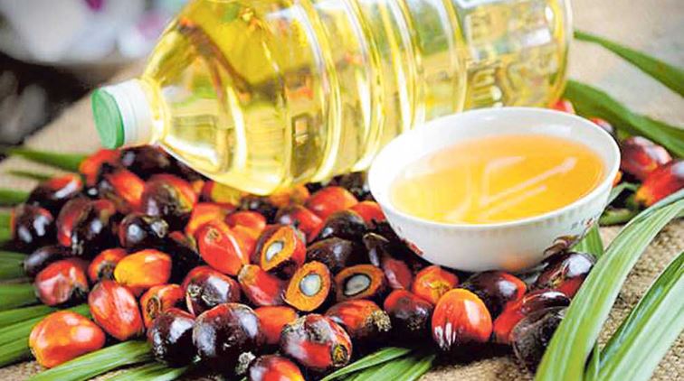 सुस्तायो पाम र भटमासको तेलको समग्र व्यापार