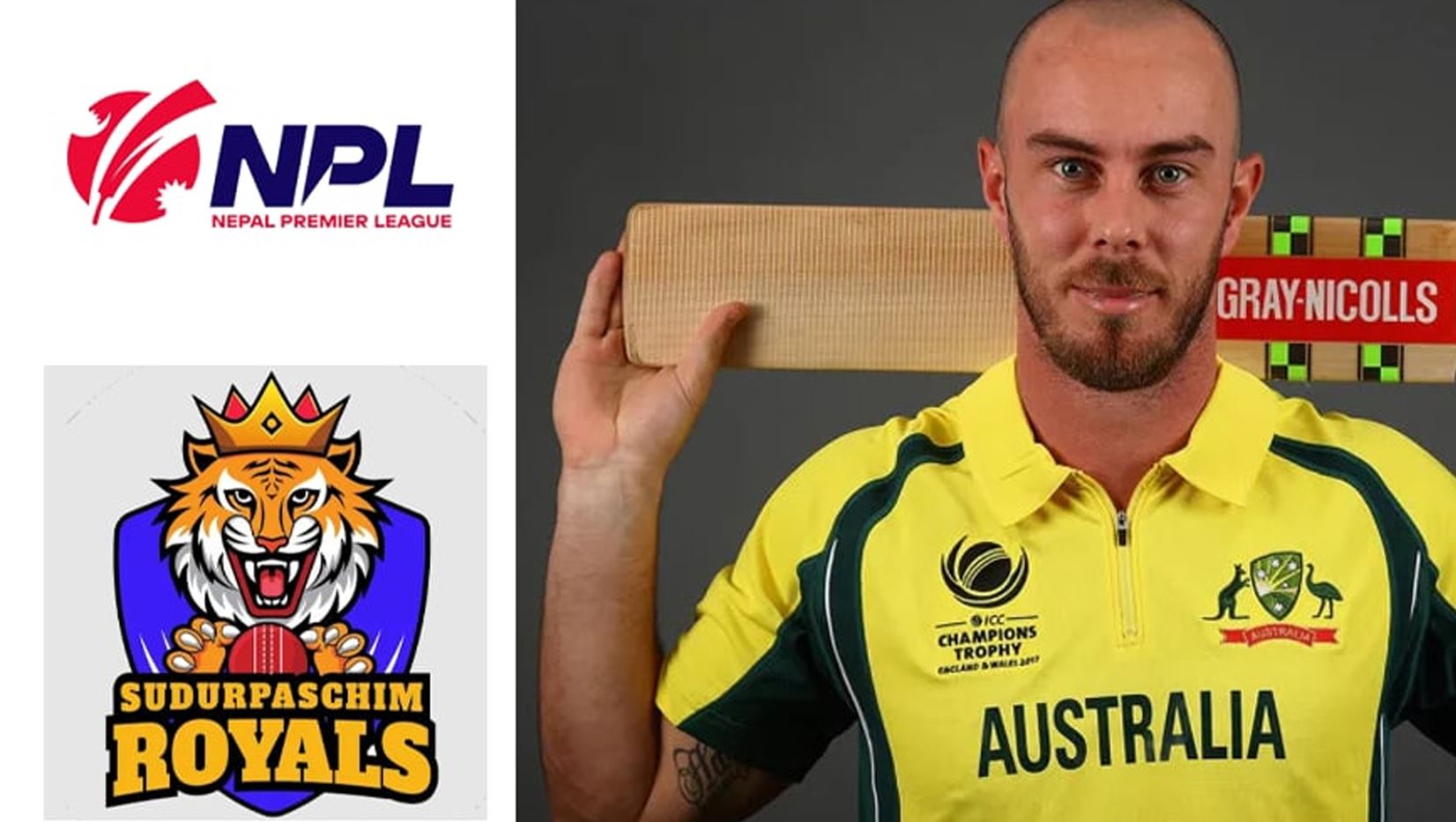 एनपीएलमा क्रिस लिनको प्रवेशसँगै क्रिकेटको रौनक देशभर फैलियो